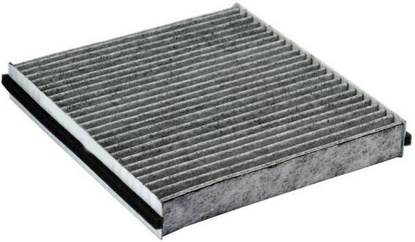 POLEN FİLTRESİ LGN II 1.6-1.8-2.0 01 > 1.9 DCI 01 > > KARBONLU