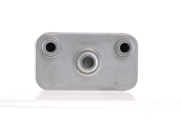 OTOMATIK SANZIMAN YAG SOGUTUCUSU BMW X5 E53 00>06