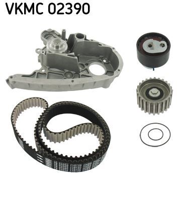 DEVİRDAİMLİ EKSANTRİK GERGİ KİTİ 178x300 DUCATO 2.3JTD 06 >DAILY III 06 >