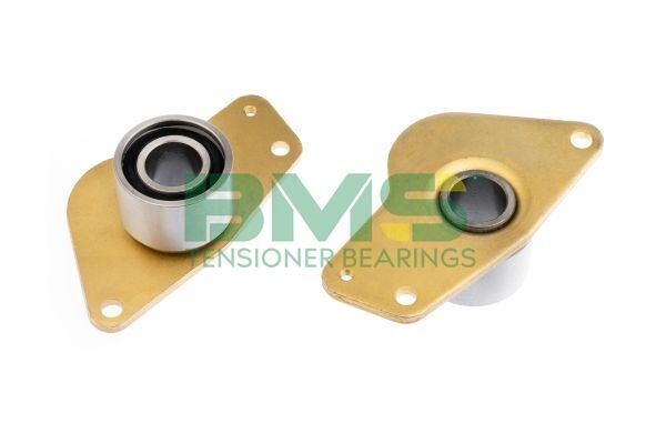 EKSANTRİK GERGİ RULMANI BÜYÜK CLIO 91>05 KANGOO 97> 1.9D F8Q MEGANE 96> 2.0 16V F7R R19 89> 1.8 16V F7P