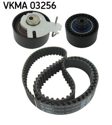 EKSANTRİK GERGİ KİTİ P206-207-307-308-PARTNER-C2-C3-C4-XSARA-BERLINGO 1.6-1.6 16V TU5JP4 DFM SUCCE 1.6 16V 09-13 TU5JP4