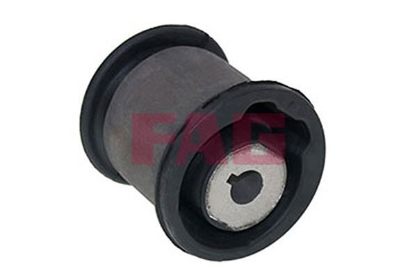 ARKA SALINCAK BURCU İÇ T5-T6