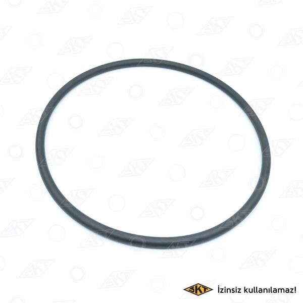 ŞANZUMAN ARKA KAPK KEÇESİ R9-R11 1.4-1.7-R19 1.8-1.9D-R21 1.7-CLIO SYM 1.4 -MGN 1.6-2.0 154x6.25