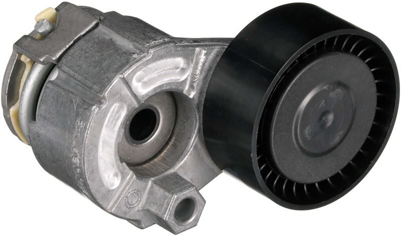 ALTERNATÖR GERGİ RULMANI KÜTÜKLÜ CLIO II-III-IV MEGANE II-III SYMBOL I-II KANGOO-II LAGUNA III 07> 15 FLUENCE 09> DUSTER 10> QASHQAI 06>13 1.4 16V K4J 1.5dCi K9K 1.6 16V K4M
