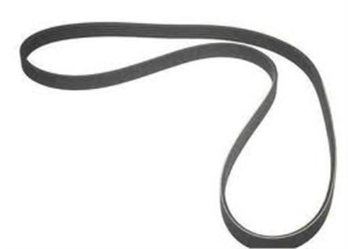 KANALLI KAYIŞ FIAT PUNTO 1.2 60 8V 99 > PUNTO VAN 1.2 60 8V 00-05 PUNTO 1.2 80 16V 99-06