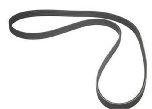 KANALLI KAYIŞ FIAT PUNTO 1.2 60 8V 99 > PUNTO VAN 1.2 60 8V 00-05 PUNTO 1.2 80 16V 99-06