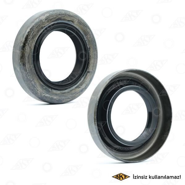 ŞANZUMAN KEÇESİ ARKA 79M SONRASI M1 32x56x11