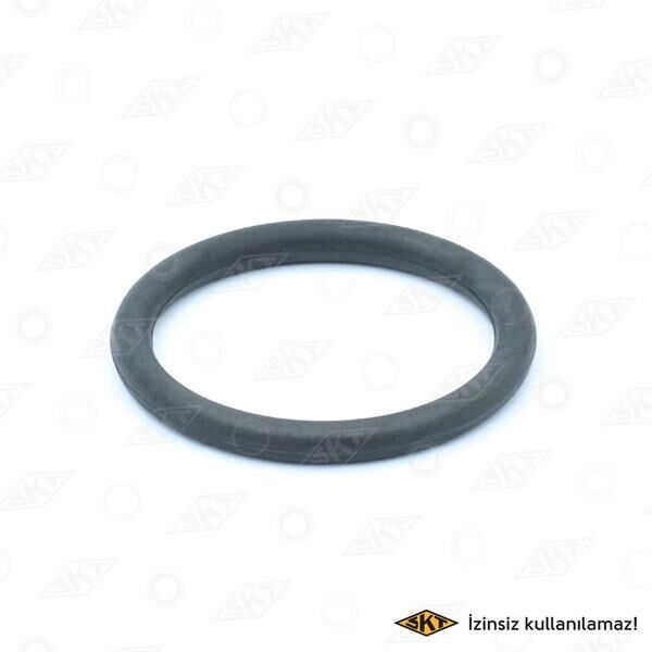 ŞANZ. KLM ÇIKIŞ MİLİ KEÇESİ RENAULT 12 TOROS