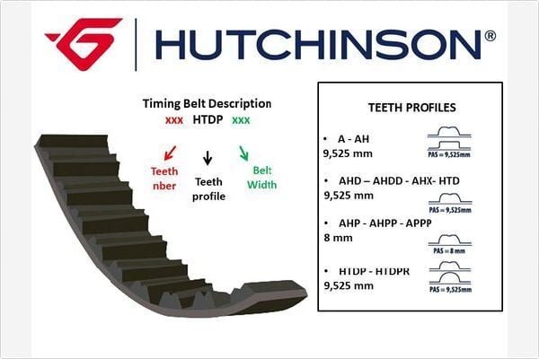 TRİGER KAYIŞI 169x200 169 DİŞ ASTRA F-VECTRA B16 V 96-02 CT873 5369XS